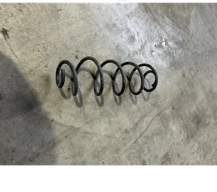 Rear coil spring