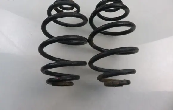 Volkswagen PASSAT B5.5 Rear coil spring 