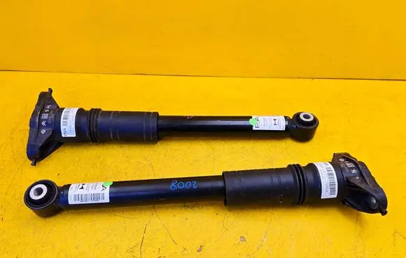 Peugeot 2008 II Rear shock absorber/damper 9836658080