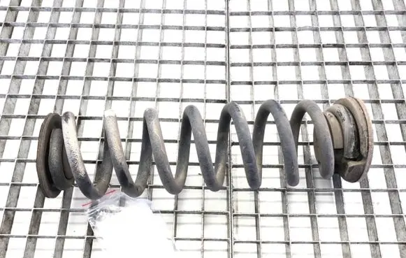 Rear coil spring