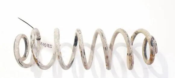 Rear coil spring
