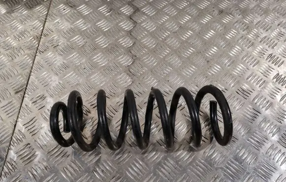Rear coil spring