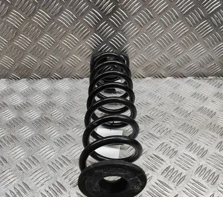 Skoda Kodiaq II Rear coil spring 5QS511103C