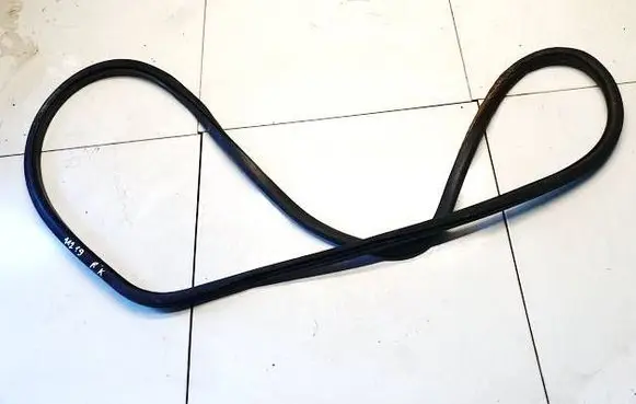 Volkswagen PASSAT B6 Rubber seal front coupe door 