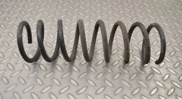 Rear coil spring