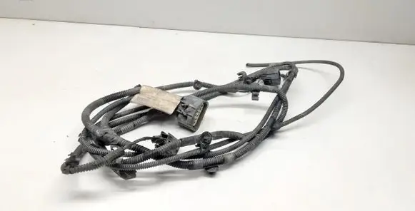 Volvo S60 Other wiring loom 31210009