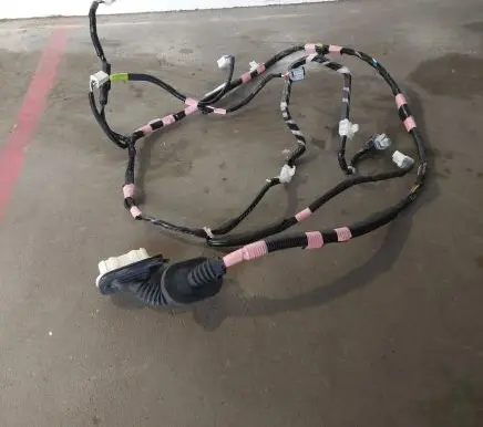 Rear door wiring loom