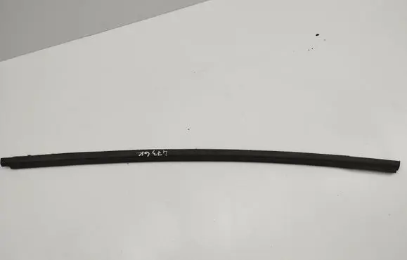 Hyundai Veloster Rear door glass trim molding