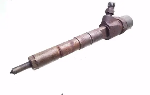 Opel Signum Fuel injector 2807077578903 0445110243