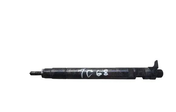 Ford S-MAX Fuel injector 9686191080