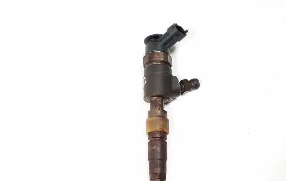 Peugeot Expert Fuel injector 0445110340 870692