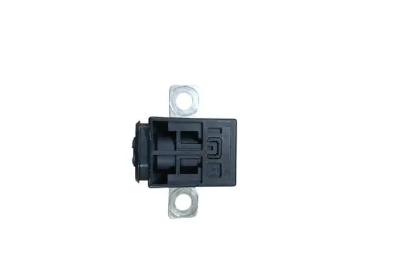 Porsche Macan (95B) Battery relay fuse 4F0915519