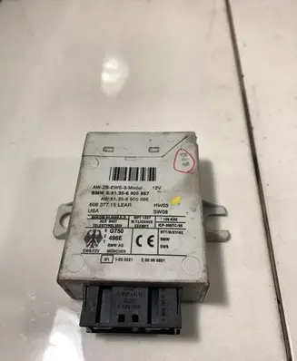 BMW X5 E53 Immobilizer control unit/module 61356905667