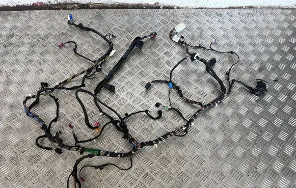 BMW X3 G01 Panel wiring 67650211 86256502