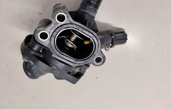 Thermostat/thermostat housing