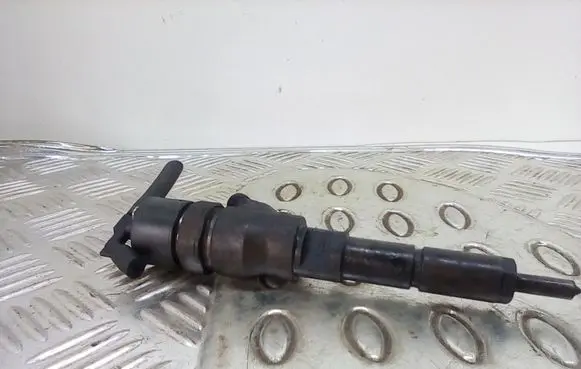 Citroen Xsara Picasso Fuel injector 0445110076 96417422880
