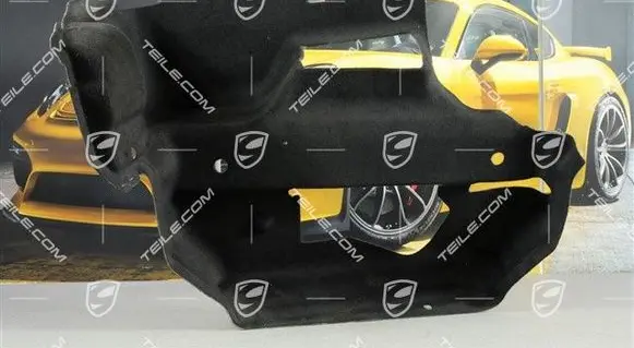 Porsche Boxster 987 Parcel shelf load cover 99755105116A31