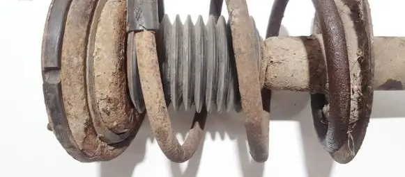 Front coil spring