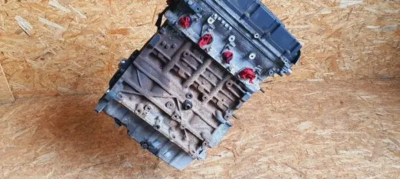 Volkswagen Golf V Engine BKD