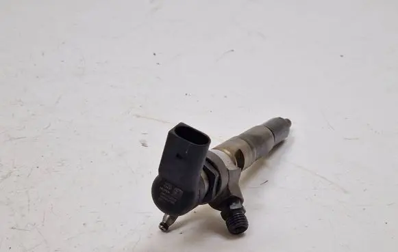 Nissan Qashqai Fuel injector H8201100113 166006212R