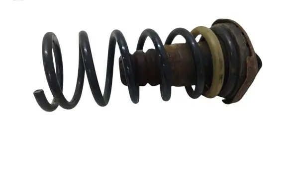 Rear coil spring