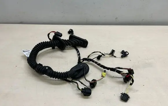 Porsche Cayenne (92A) Front door wiring loom 7P5971161GJ