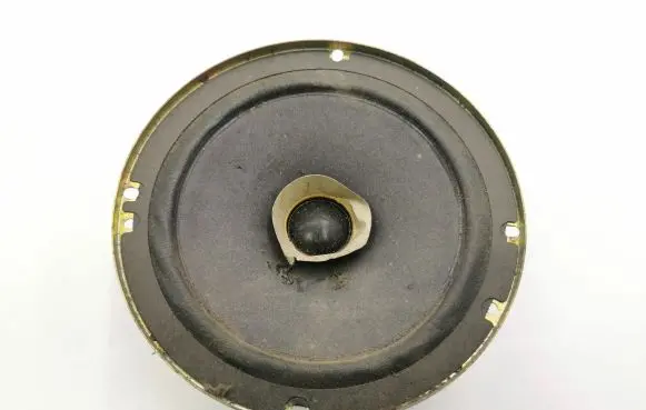 Rear door speaker