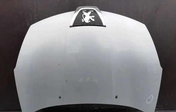 Peugeot 4007 Engine bonnet/hood