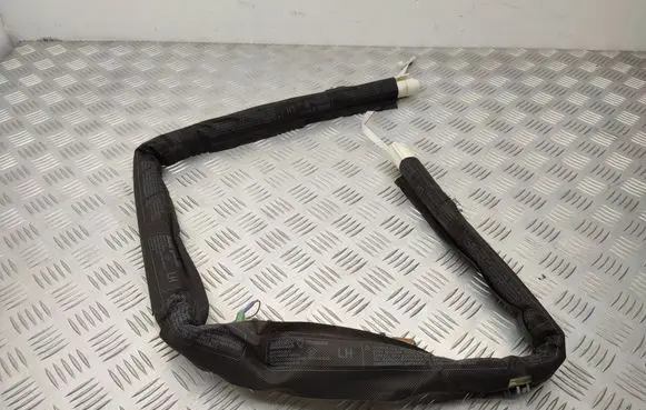 Renault Scenic III - Grand scenic III Roof airbag 985P10681R