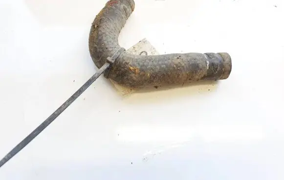 Honda Accord Engine coolant pipe/hose
