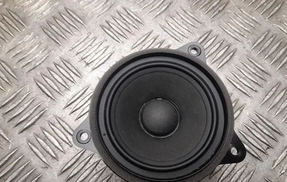 Volkswagen Tayron II Front door high frequency speaker 571035415