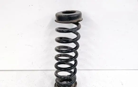Rear coil spring