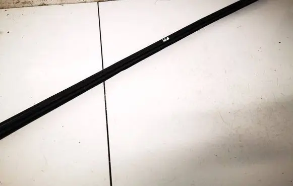 Volkswagen Golf Plus Front door glass trim molding 
