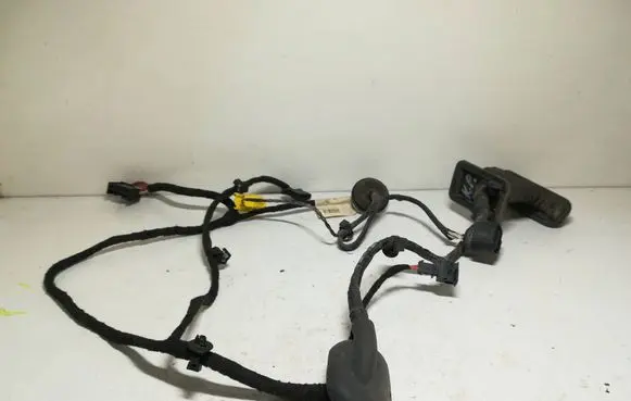 Volkswagen PASSAT B6 Front door wiring loom 3C1971120T 801119486 TAB016297AF