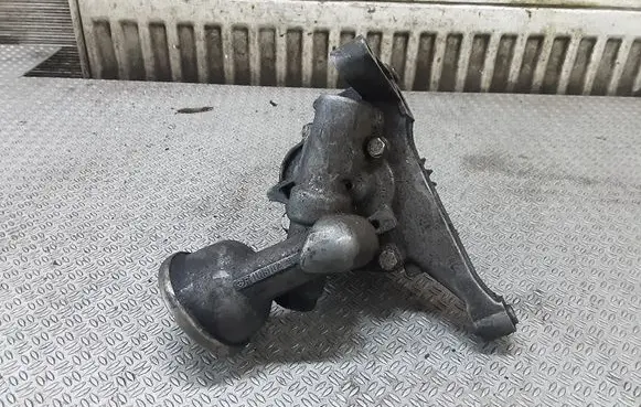 Mercedes-Benz C W202 Oil pump R1111810220
