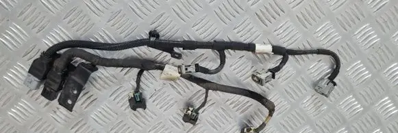 KIA Sorento Fuel injector wires 