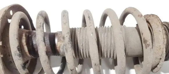 Front coil spring