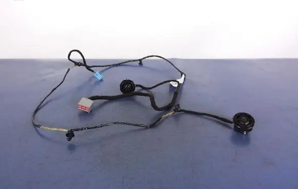 Ford C-MAX II Other wiring loom AV6T-19A657