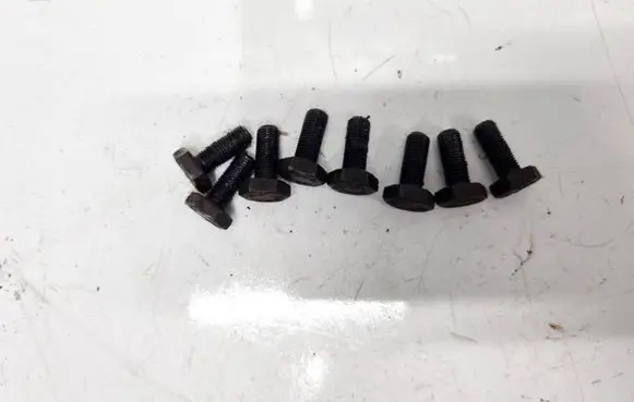 Nuts/bolts