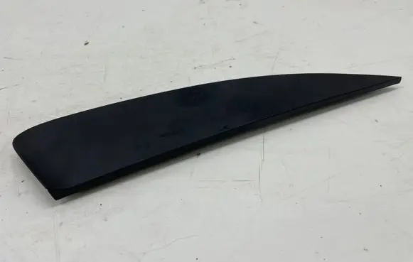 Fender trim (molding)