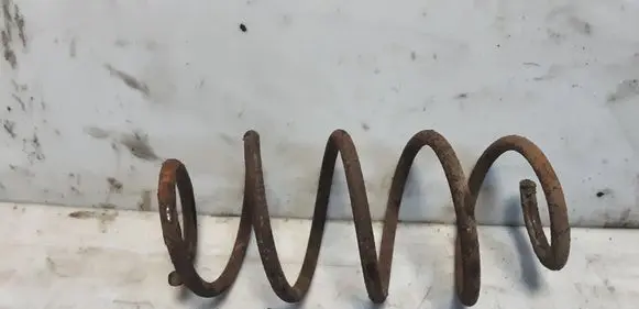 Volkswagen Golf V Front coil spring 