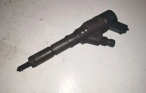 Citroen C5 Fuel injector 0445110008 9635196580