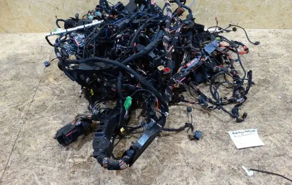 Porsche Panamera (970) Wiring harness 