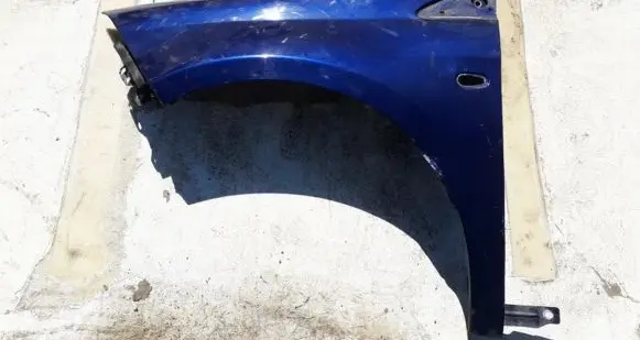 Fiat Bravo Fender