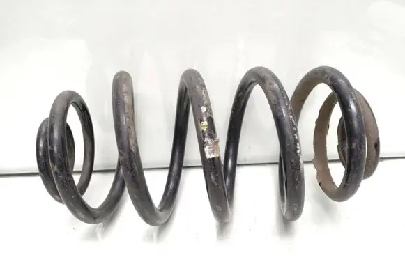 Rear coil spring