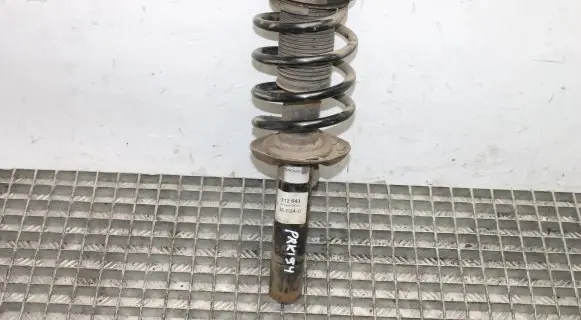 Volkswagen Tiguan Front shock absorber/damper