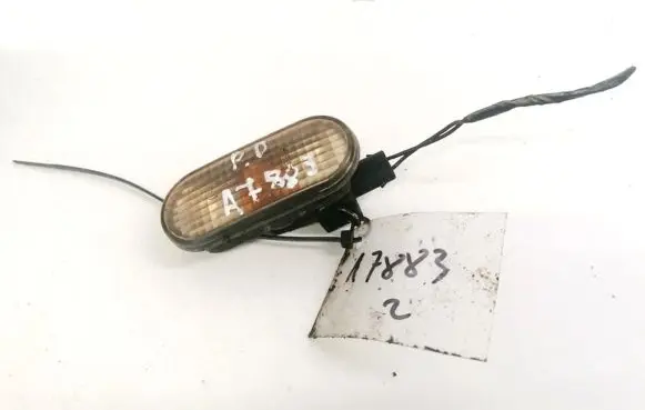 Front fender indicator light