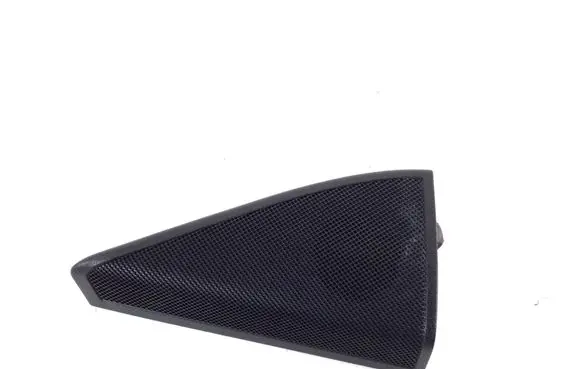 Other front door trim element