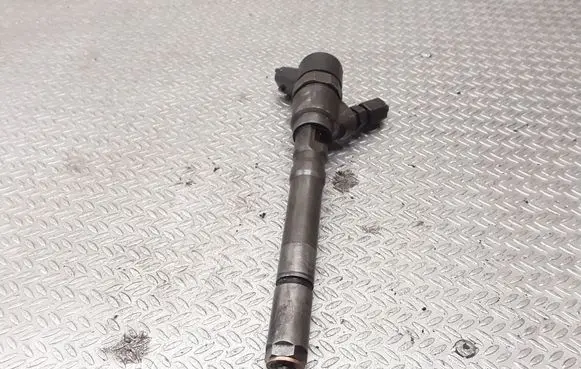 KIA Sportage Fuel injector 0445110126 3380027900