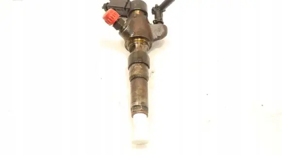 Ford Focus Fuel injector